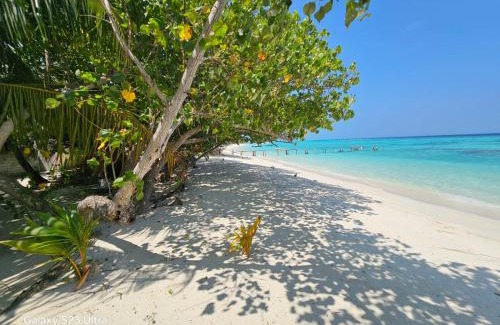 Himandhoo Hotel | Kuri Himandhoo Inn