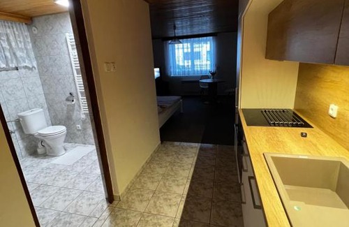 Litomerice Apartment | Květinová