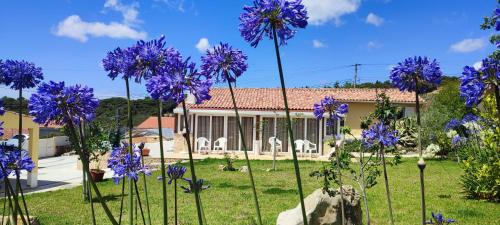 Alcobaca Villa | Kyrios Family 5p Villa with private pool