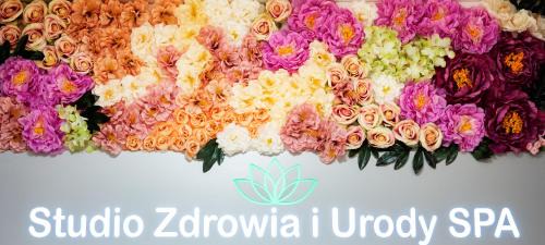 Iwonicz-Zdroj Hotel | KZZG w Polsce, Górnicze Sanatorium Związkowe "GÓRNIK"