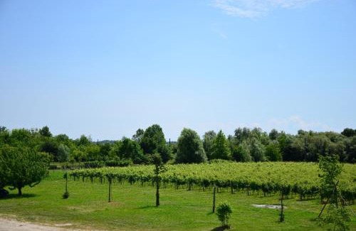 Muzzana del Turgnano House | Là Di Anselmi