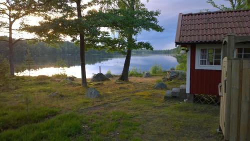 Asarum Other | Långasjönäs Camping & Stugby