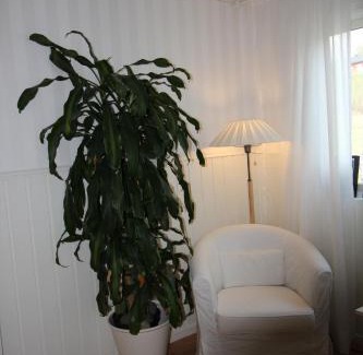 Charlottenberg Apartment | Lövås Gård Koppera