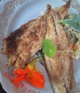 Motteville Bed & Breakfast | L'écureuil roux chambre parentale