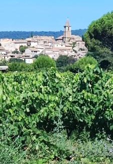 Mirabel-aux-Baronnies Apartment | L'éden des Baronnies