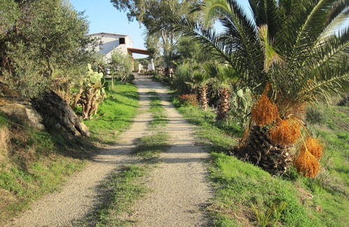 Ribera Villa | L Agave e la Palma Nana