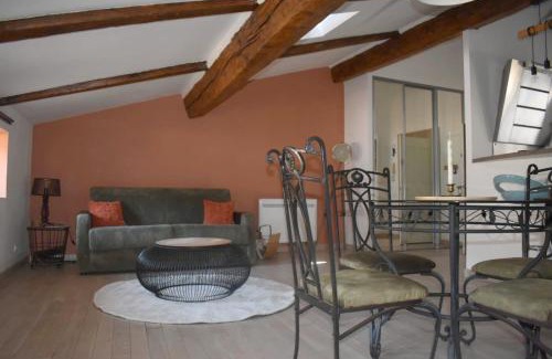 Pezenas Apartment | L'Ecrin piscenois - Monument historique - 2 pieces - 65 M2