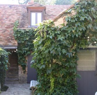 Rochefort-en-Yvelines Bed & Breakfast | L'Hibernie