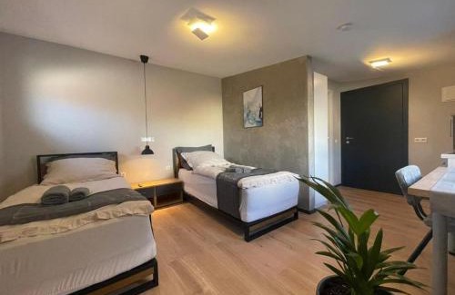 Reilingen Apartment | L'Imeri Residence