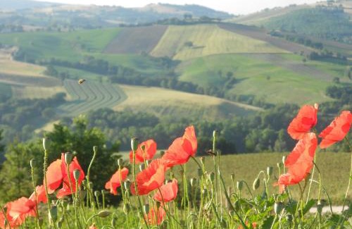 Moscosi House | L'Isola Che Non C'era