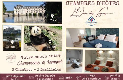 Saint-Georges-sur-Cher Bed & Breakfast | L'Orée des Vignes 41 - proche Chenonceau et Zoo de Beauval