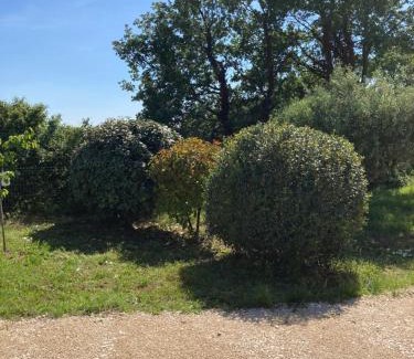 Flassan Villa | La Bastide de l'Olivier