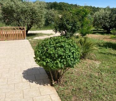 Flassan Villa | La Bastide de l'Olivier