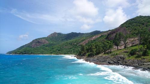 Silhouette Island Cabin | La Belle Tortue