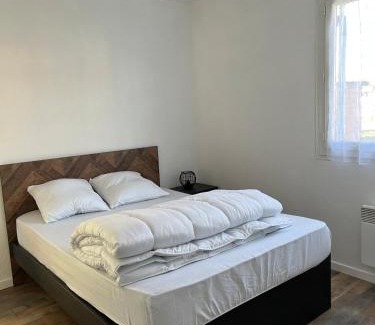 Villate Apartment | La Bellevue, 15 mn de Toulouse, WIFI, Barbecue