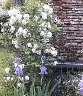 Cour-Cheverny Bed & Breakfast | La Bervinière