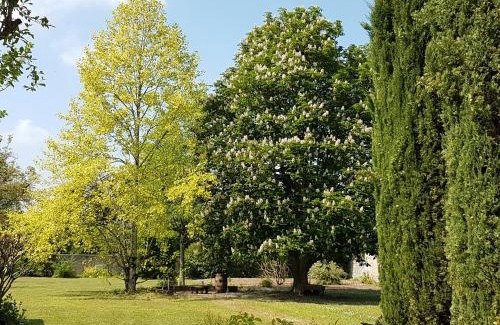 Francueil Bed & Breakfast | la blanchetière