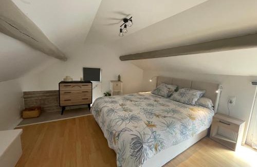 Epernay Apartment | La Bulle Bleue Jacuzzi