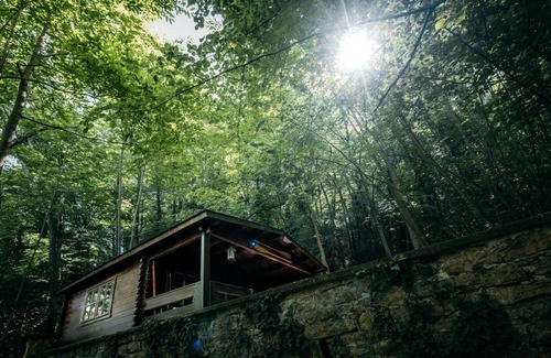 Vernay Apartment | La Cabane Du Trappeur Lyon Country House