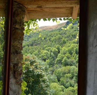 Bassurels House | La Calade de Craysoules