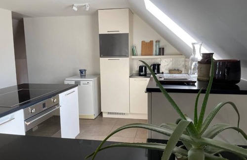Ellezelles Apartment | La Canopée des Arbres Juliette! Relax and enjoy yourself at the edge of the forest!