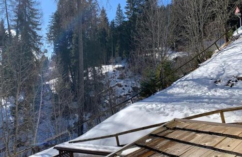 Madonna di Campiglio Apartment | La Capannina