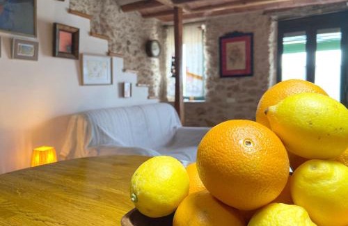 Ulldecona House | LA CASA DE LA PARRA