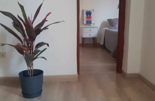 Ica House | La Casa Hospedaje Está Ubicada en el Centro de la Ciudad,. Desde Aquí Podrá