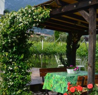 Bolognano-Vignole Apartment | La Casa nel Verde