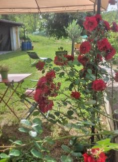 Cartosio House | La Casa Rossa -Dimora di campagna
