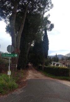 Poggio Apartment | La Casetta degli Innamorati