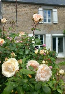 Sartilly-Baie-Bocage Bed & Breakfast | La châtre