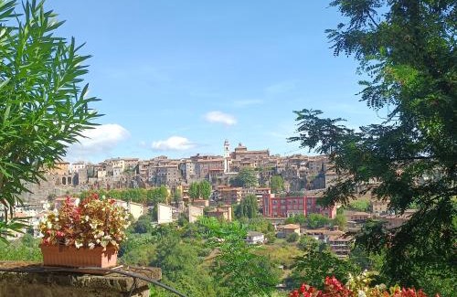 Orte House | La Civetta - Casa vacanze Orte