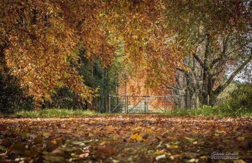La Granja Villa | La Deseada Casa de Campo