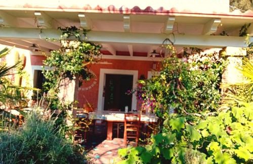 Villaggio delle Mimose House | La Fattoria Delle Tartarughe