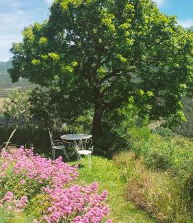 Saint-Andre-de-Rosans Bed & Breakfast | La Ferme de la Condamine