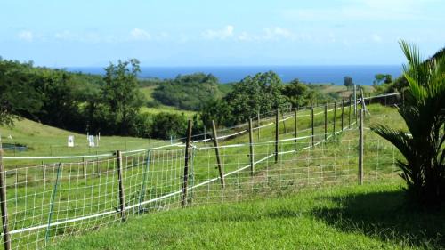 Riviere-Salee House | La Ferme des Etangs