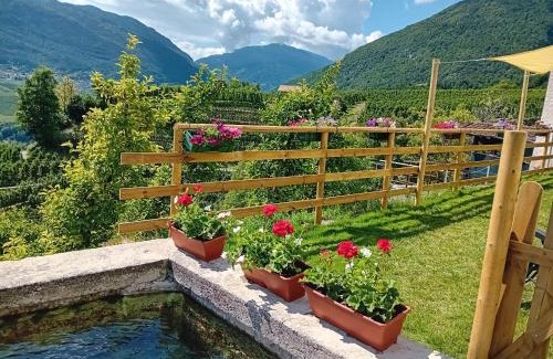 Sporminore Apartment | la fonte