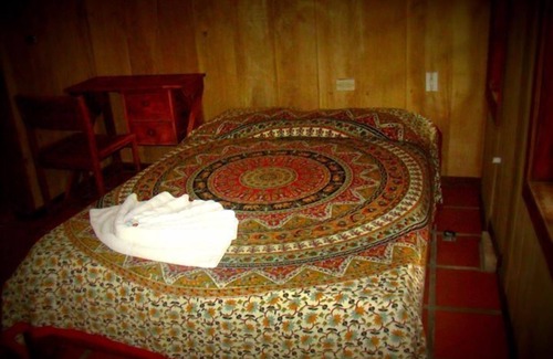 Quebrada La Gamba Cabin | La Gamba Rainforest Lodge