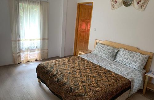 Bicaz House | La Măriuca
