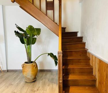 Brizambourg House | La Maison de la Brousse