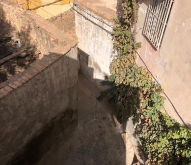 Tlemcen House | La maison des oiseaux