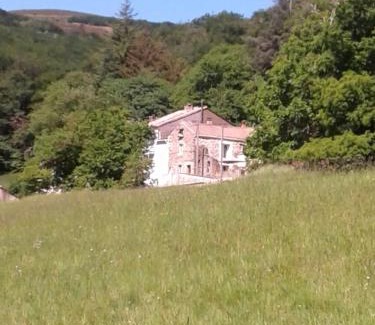 Cassagnoles House | La Maison du chataignier