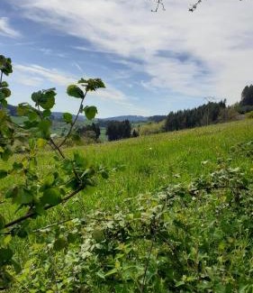 Saint-Racho Bed & Breakfast | La Maison du Potager