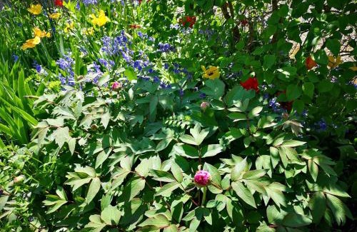 Malain Bed & Breakfast | La Malinette B&B, calme et authenticité