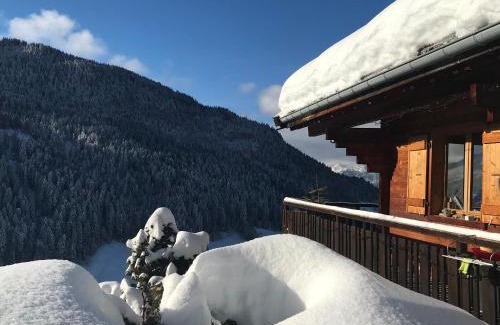 Le Grand-Bornand Apartment | La marmotte qui papote