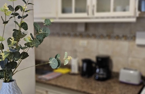 Historic Center Apartment | La mejor ubicación con patio y parrilla