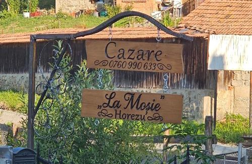 Horezu House | La Mosie
