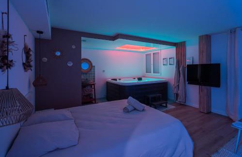 Sainte-Gemmes-sur-Loire Apartment | La Parenthèse Gemmoise avec jacuzzi privatif