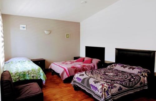 San Martin de las Piramides Apartment | La Quinta de Chaco casa residencial entera
